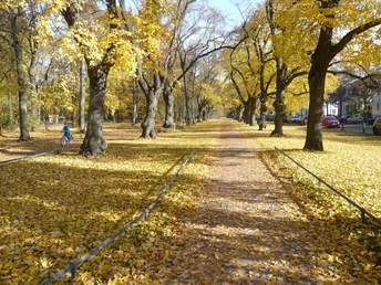 Riddagshausen im Herbst Riddagshausen im Herbst