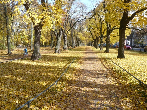 Riddagshausen im Herbst