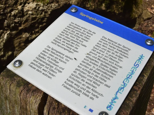 RI 5 Drei-Burgen-Route Springsteine