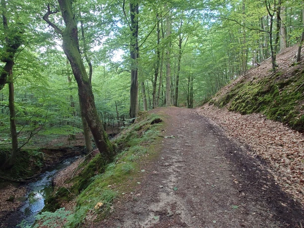 RI9 Kahlenberg-Route Bachlauf