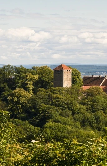Burg Schaumburg