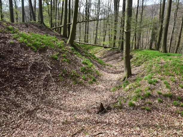 RI 5 Drei-Burgen-Route Osterburg Wallgraben