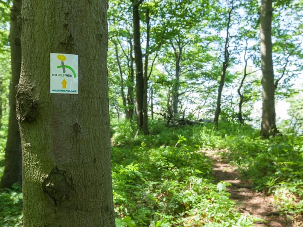 Wegemarkierungszeichen ©GeTour GmbH.jpg