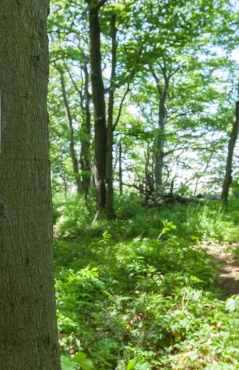 Wegemarkierungszeichen ©GeTour GmbH.jpg