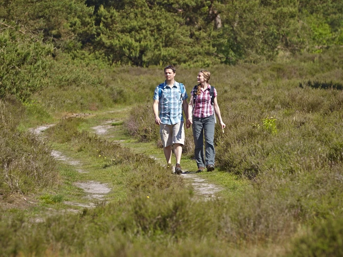 Grafschafter Spurensuche