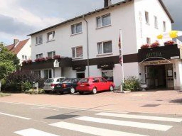 Birkenstern