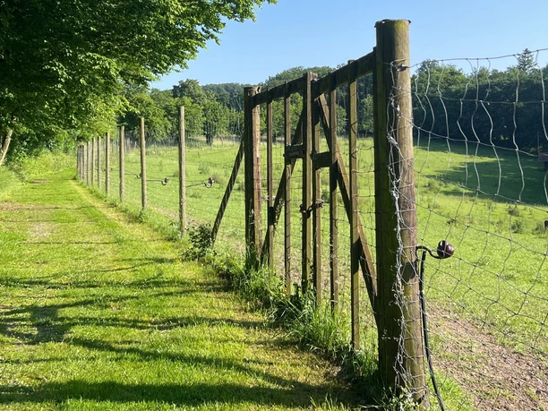 RI17 Friedrichswald Route Wildgehege