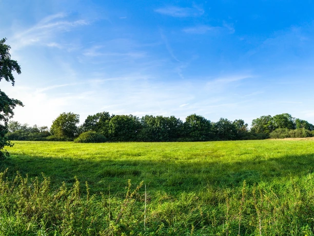 Niedermoor und Lehmgrube