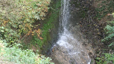 Wasserfall Langenfeld