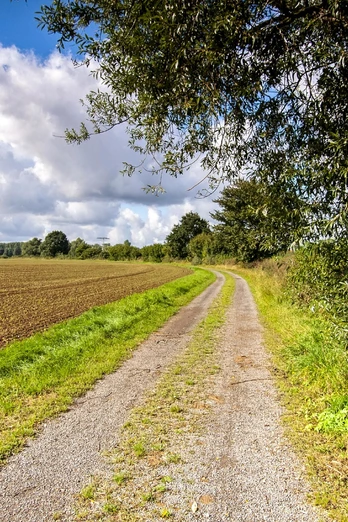 Landschaft im Weserbergland