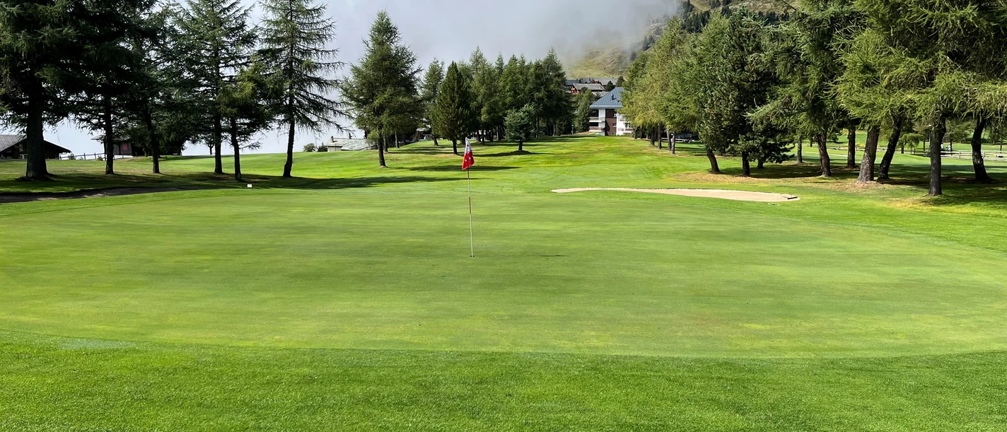 Golf 2 - Désirée Locher.jpg