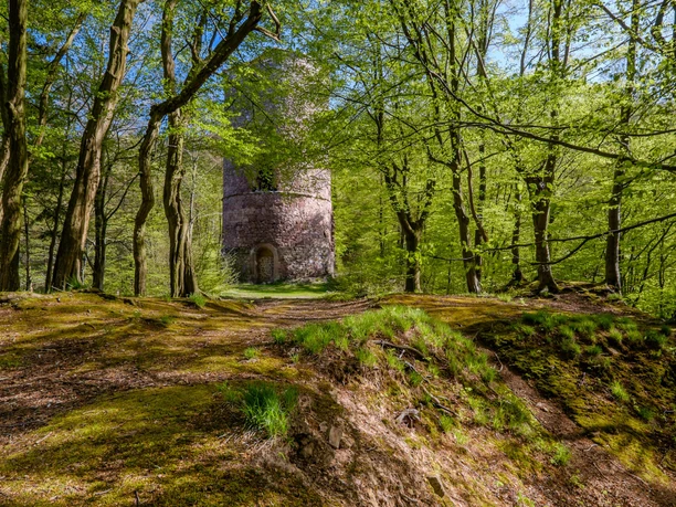 Bramburg bei Hemeln in der Erlebnisregion Hann. Münden Bramburg bei Hemeln in der Erlebnisregion Hann. Münden