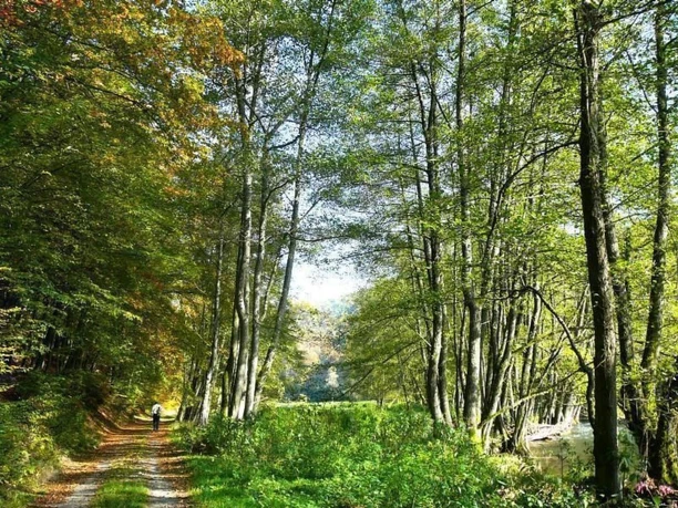 Großzügige Fewo im Künstlerhaus