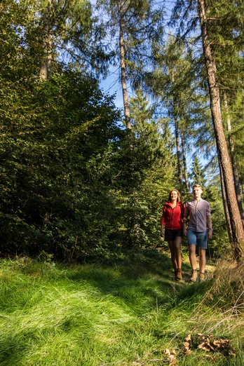 Wandern im Naturpark Münden