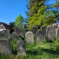 Friedhof_Celle_Keßler.jpg