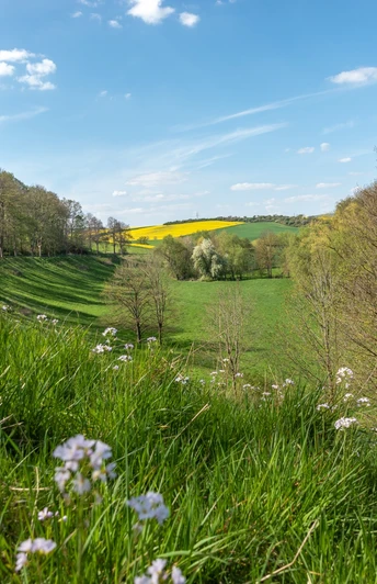 Blick_Kuventhal_R_Wenzen