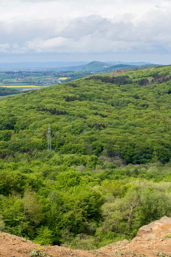 Papenbrink_TWW-Bernd-Kuhlmann