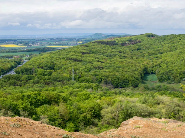 Papenbrink_TWW-Bernd-Kuhlmann