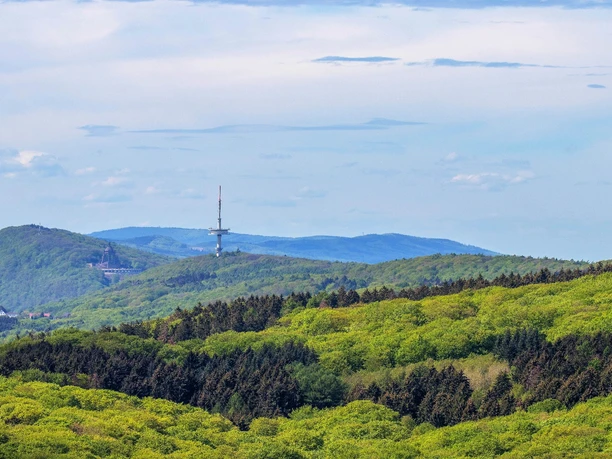 Papenbrink_TWW_Bernd-Kuhlmann