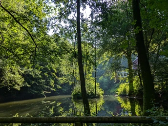 Teich_An den Teichen