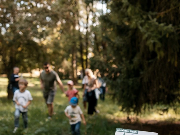 Erholung am Kirschenberg