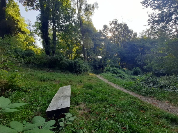 Pausenbank beim Naturgebiet Kirschenberg auf den VitalWegen 5 und 22