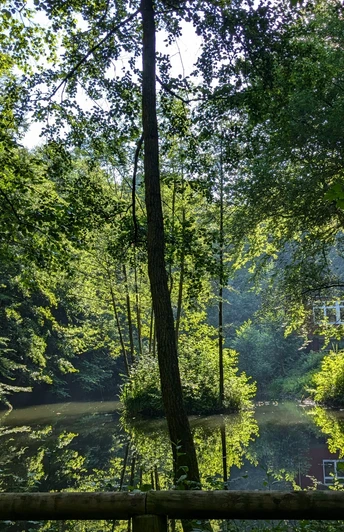 Teich_An den Teichen