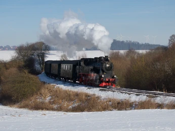 Hessencourrier im Schnee
