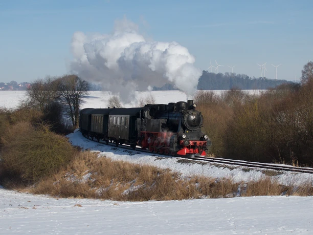 Hessencourrier im Schnee
