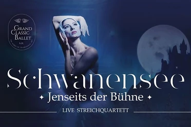 Schwanensee.jpg Plakat zum Ballett Schwanensee