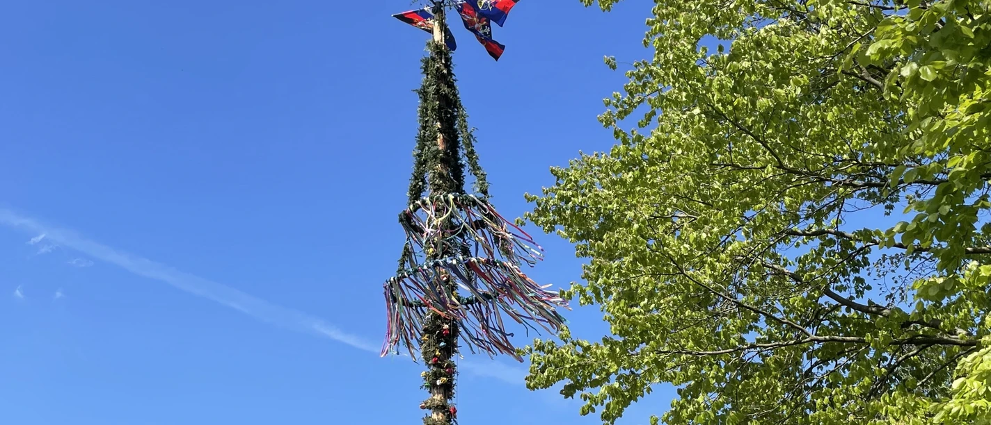 Maibaum 2025 Haxtum.JPG