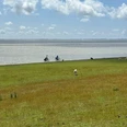 Fahrradfahrer am Morsumer Deich
