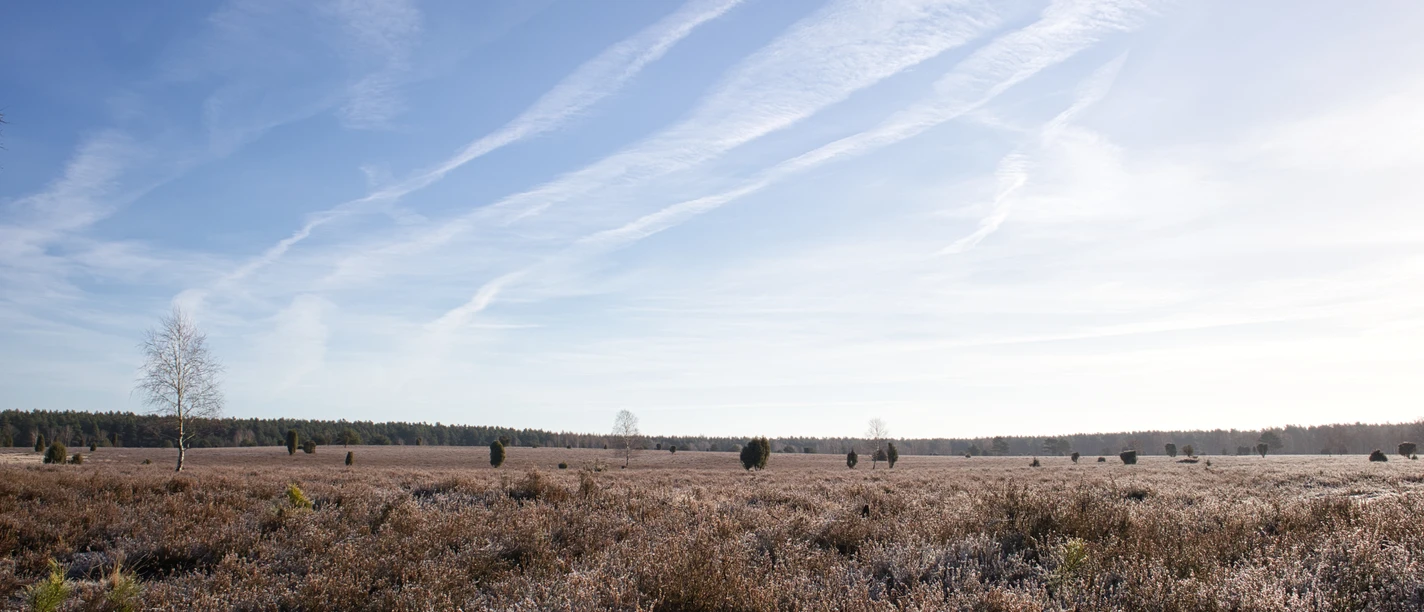 Vier-Jahreszeiten-Wanderung Oberoher Heide Winter