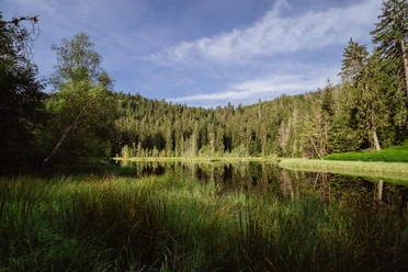 Buhlbachsee