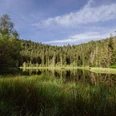 Buhlbachsee