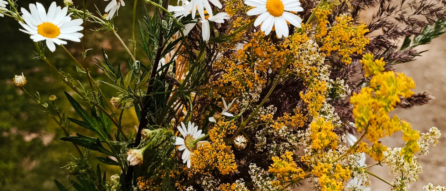 Räucherkräuterwanderung Räucherkräuterwanderung