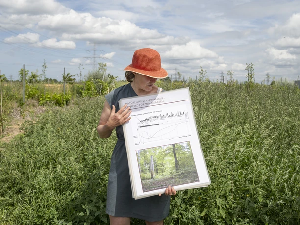 Hof an den Teichen, Waldgarten-Führung mit Dr. Agnes Friedel Hof an den Teichen, Waldgarten-Führung mit Dr. Agnes Friedel