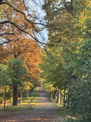 WaldZeit WaldZeit