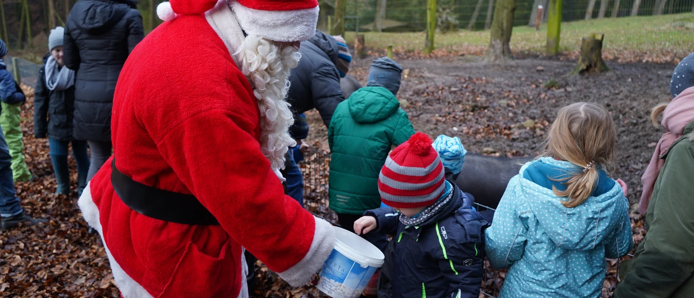 Der Weihnachtsmann und seine Helfer beim Füttern der Hängebauchschweine im Wildpark Schwarze Berge.JPG Der Weihnachtsmann und seine Helfer beim Füttern der Hängebauchschweine im Wildpark Schwarze Berge.JPG
