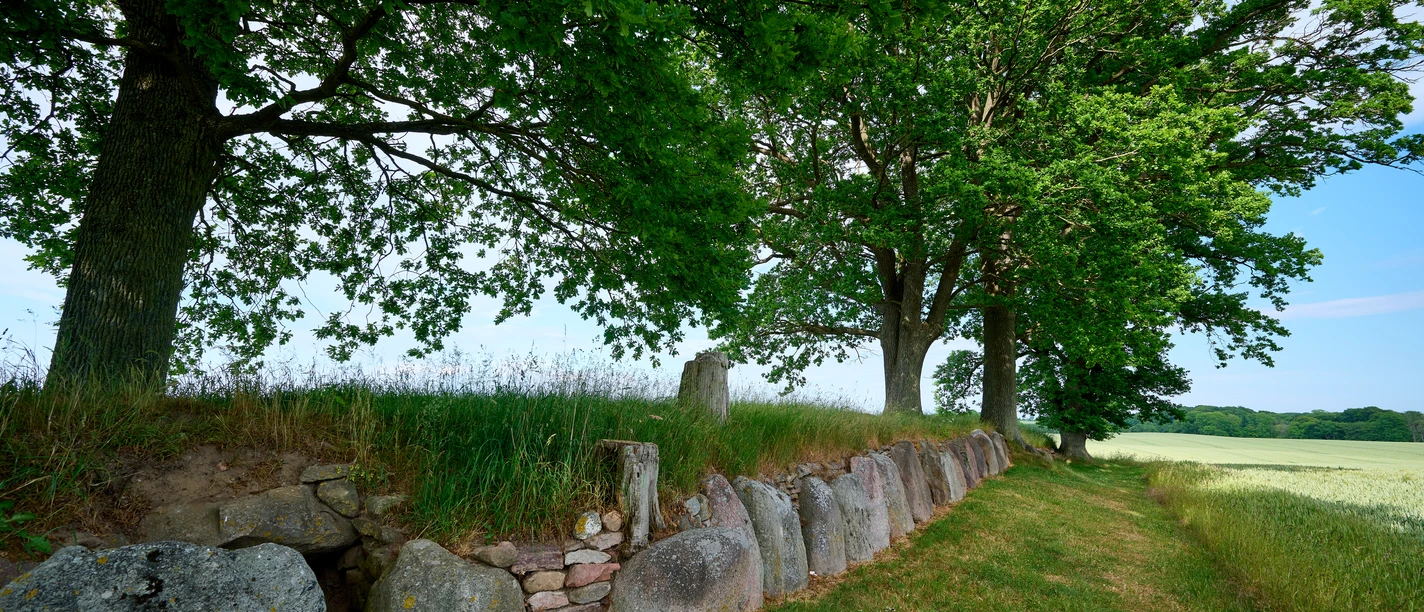 OFS_Karlsminde Langbett_Sommer 2023 Stefan Polte (7).jpg