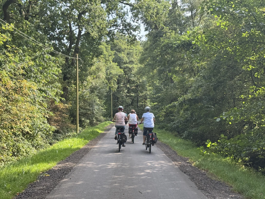 Radfahrergruppe.JPG Drei Radfahrer fahren auf einem von Bäumen gesäumten Weg in eine grüne Waldlandschaft
