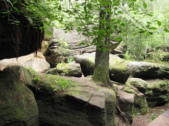 Sandsteinfelsen