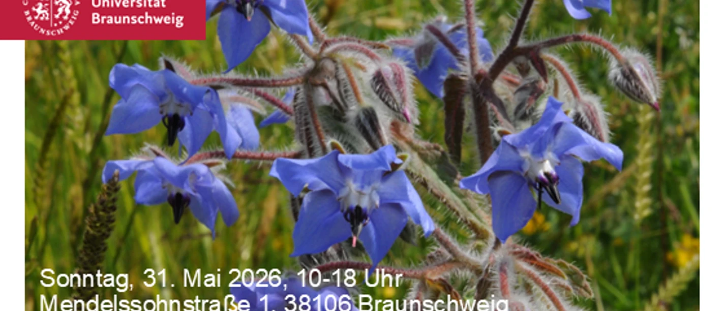 02 Garten-Postkarte_DIN_A6 2026.png