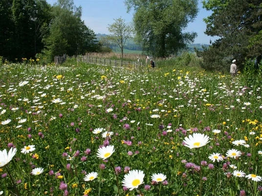 Naturparadies Besuchszentrum