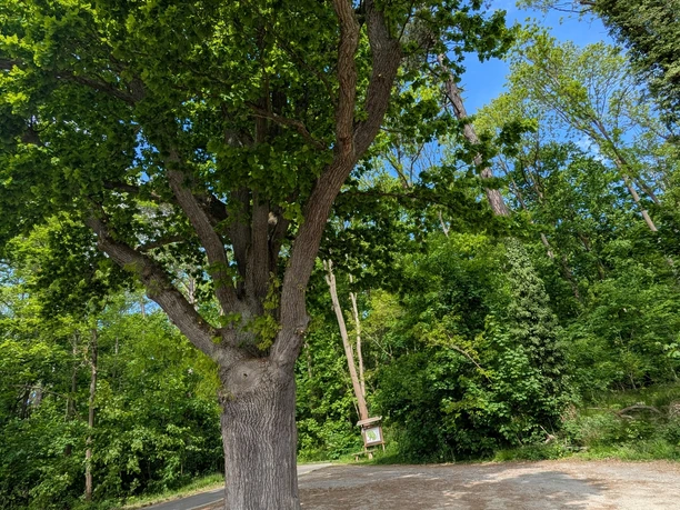 POI Parkplatz Eichendorfallee