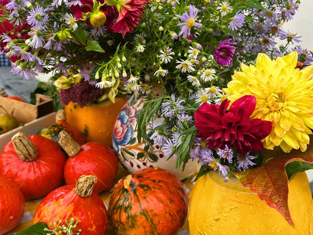 Bauernmarkt Ziegenhain