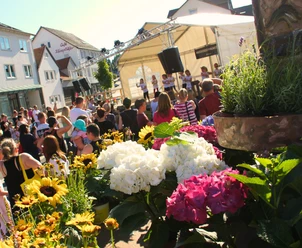 Johannisfest Treysa
