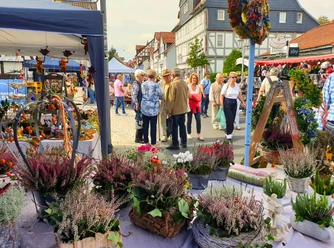 Ziegenhain vom Feinsten