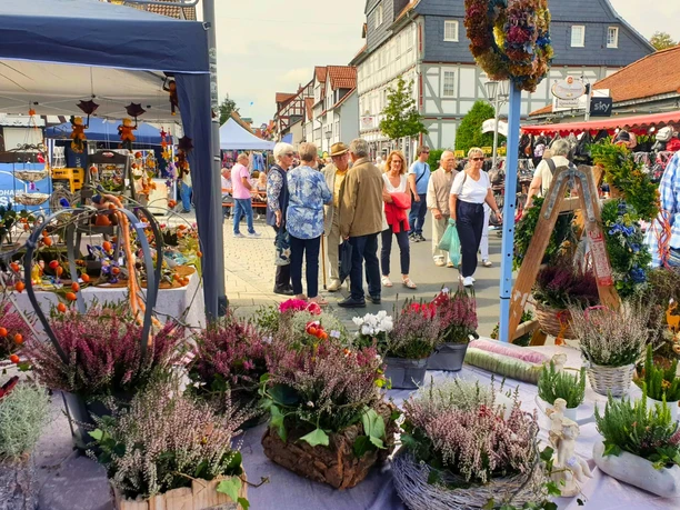 Ziegenhain vom Feinsten