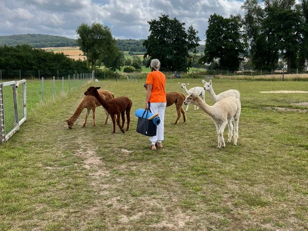 Yoga auf der Alpaka Wiese